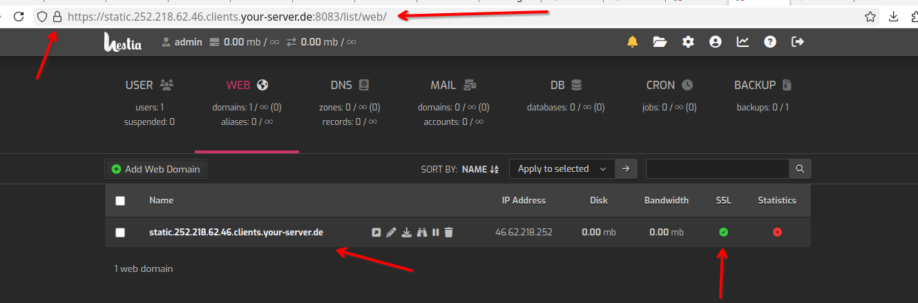 Підсумок: панель Hestia відкривається за вашим PTR‑адресом по HTTPS (іконка замка в браузері), а у списку доменів — зелений індикатор SSL.