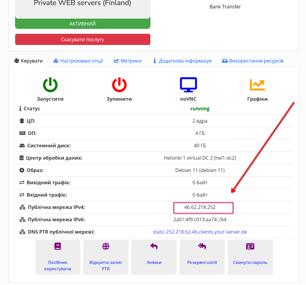 Після розгортання відкрийте сторінку послуги: вашу публічну IP‑адресу показано в полі «Публічна мережа IPv4».