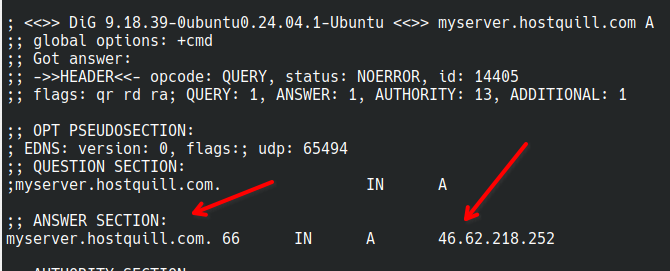 Перевірте резолв командою dig — домен має повертати ваш IPv4.