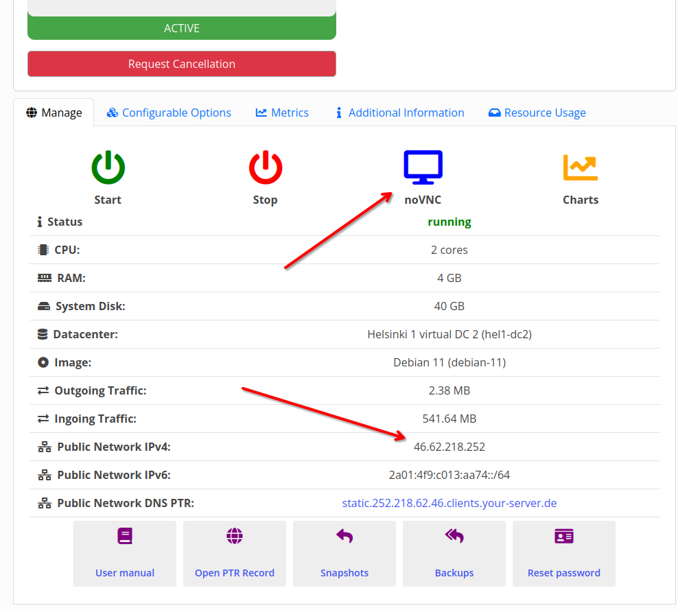 На сторінці послуги доступні noVNC (консоль) і ваш IP у полі «Public Network IPv4».